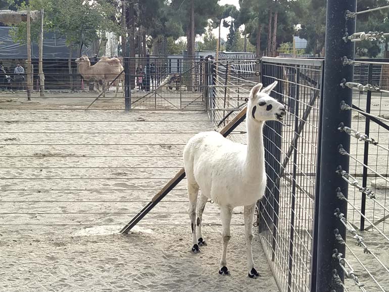  زیباترین عکس تهران