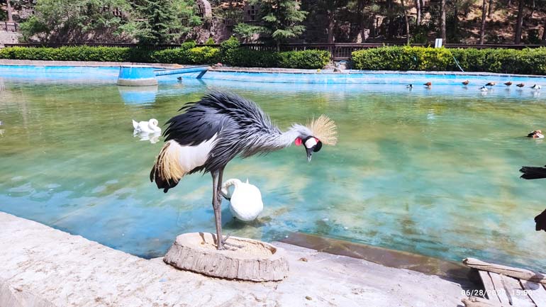  زیباترین عکس تهران