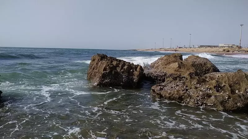 ساحل صخره‌ای