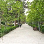 پارک ساعی جایی به دور از دود و شلوغی تهران