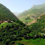 جنگل دو هزار و سه هزار مازندران؛ بهشت ایرانی