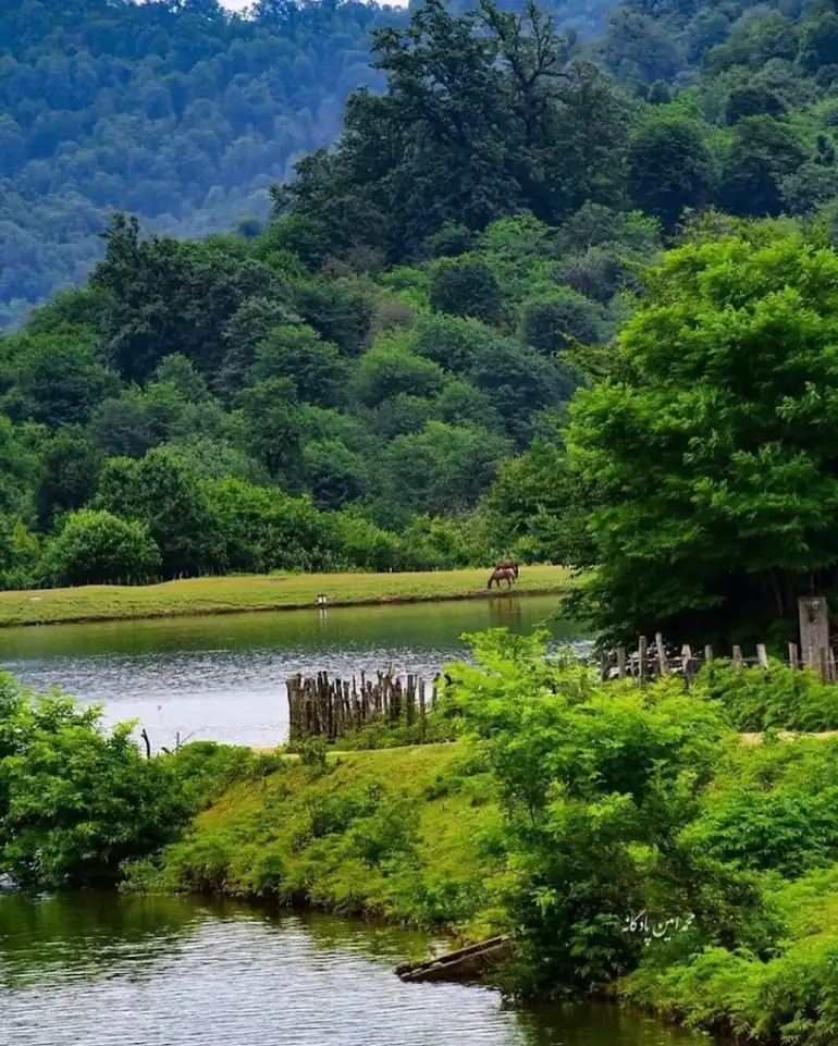 دریاچه سراگاه گیلان یا آیینه تمامقد طبیعت؟ 11 تفریحات دریاچه سراگاه