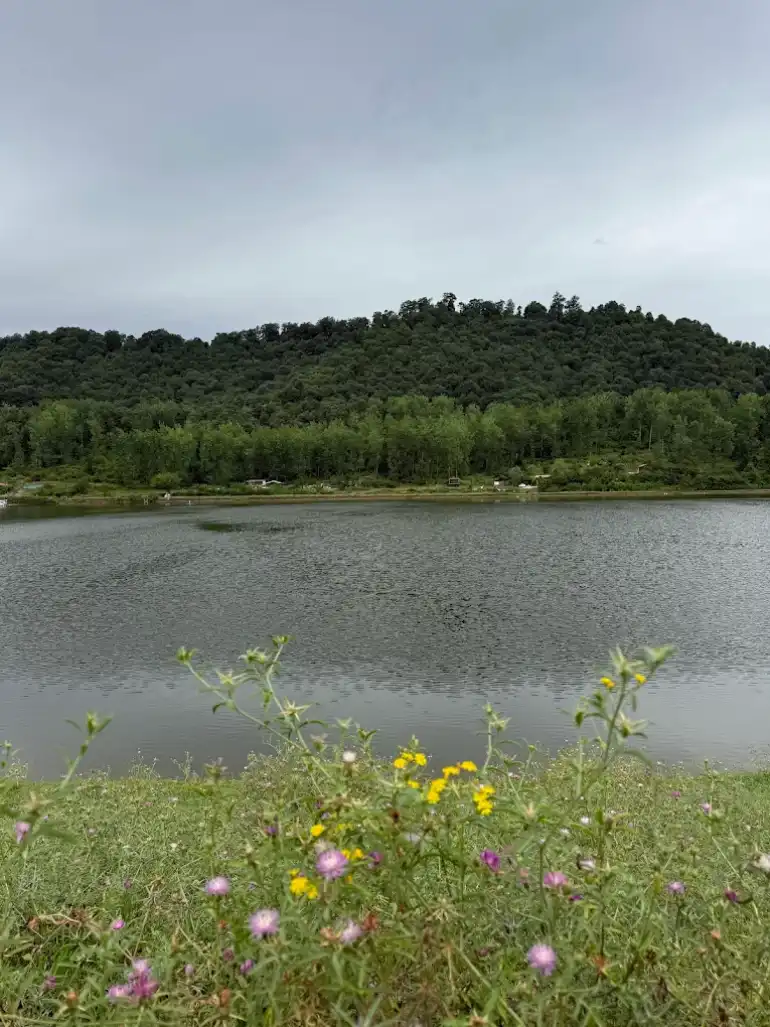 دریاچه سراگاه گیلان یا آیینه تمامقد طبیعت؟ 23 دریاچه سراگاه