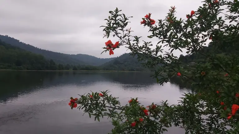 دریاچه سراگاه گیلان یا آیینه تمامقد طبیعت؟ 4 دریاچه سراگاه کجاست؟