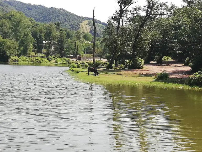 دریاچه سراگاه گیلان یا آیینه تمامقد طبیعت؟ 6 دریاچه سراگاه