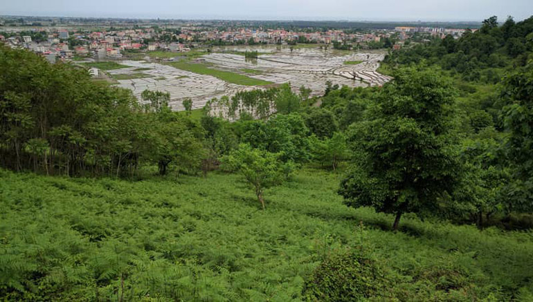 دریاچه سراگاه گیلان یا آیینه تمامقد طبیعت؟ 18 آشنایی با پارک جنگلی سیاهکل
