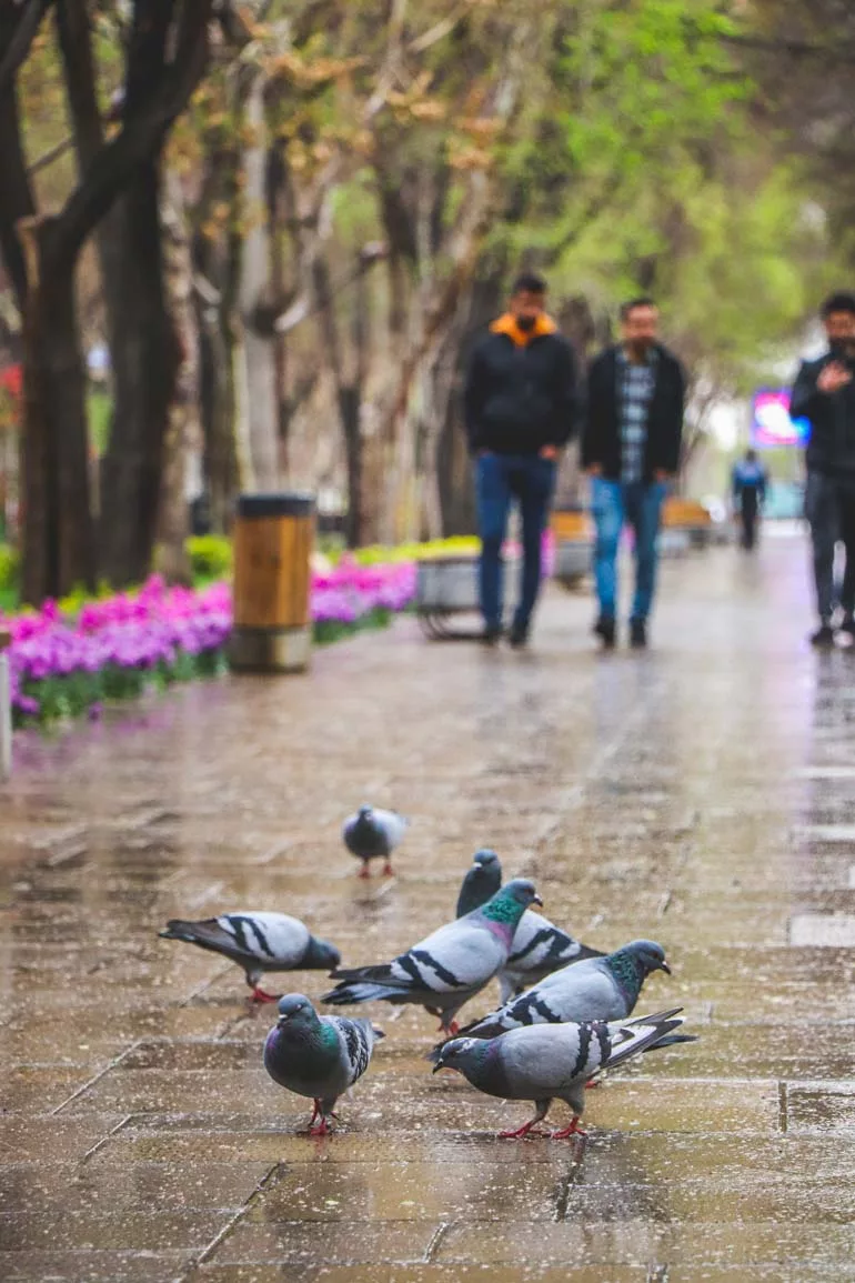 جاهای دیدنی اصفهان برای عکاسی jpg