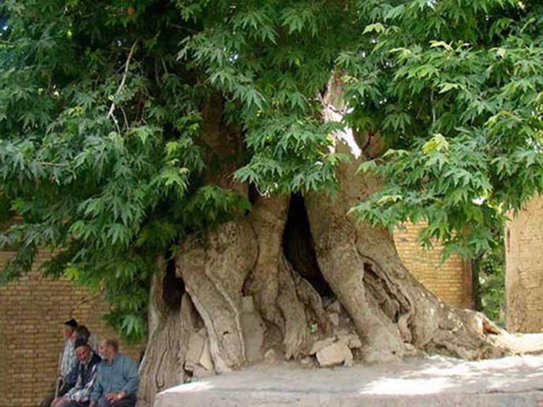 تالاب چغاخور چهارمحال و بختیاری؛ فیروزه غرب ایران 33 تالاب چغاخور