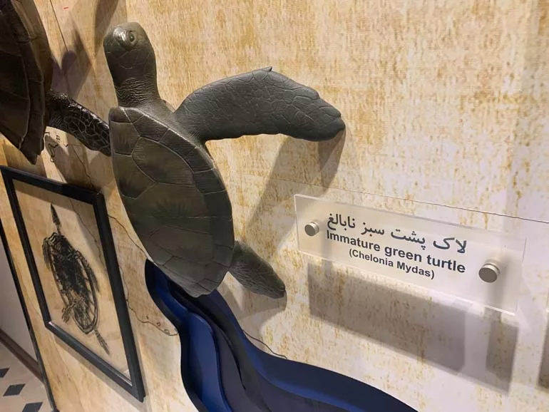 موزه دریانوردی بوشهر
