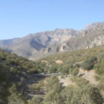 کوه قلاقیران ایلام؛ بهشتی باستانی با درختان کهنسال بلوط