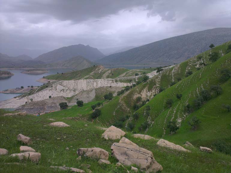 دشت سوسن