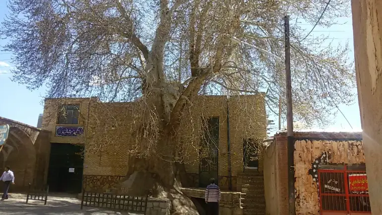 جاهای دیدنی تفرش در بهشت گمشده ایران 41 مسجد تاریخی جامع ششناو