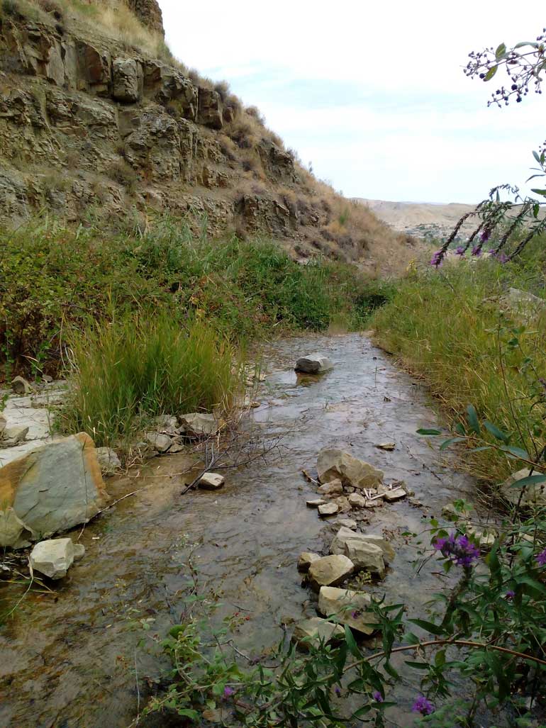 ترکمن صحرا کجاست؟ گشتوگذار در نگین سبز شمال ایران 30 کلاله