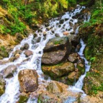 آبشار آب پری؛ نگینی در دل جنگل‌های مازندران