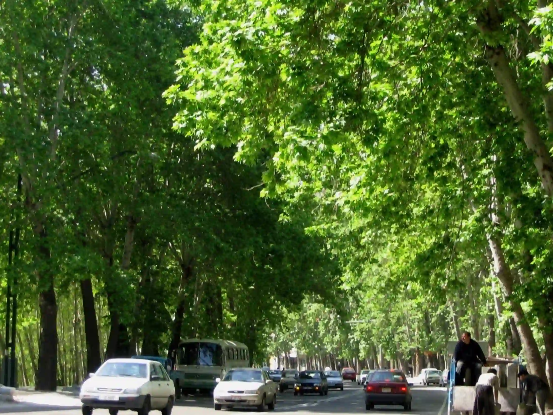 تله سیژ توچال تهران | پنجرهای رو به زیباییهای تهران 24 تله سیژ توچال