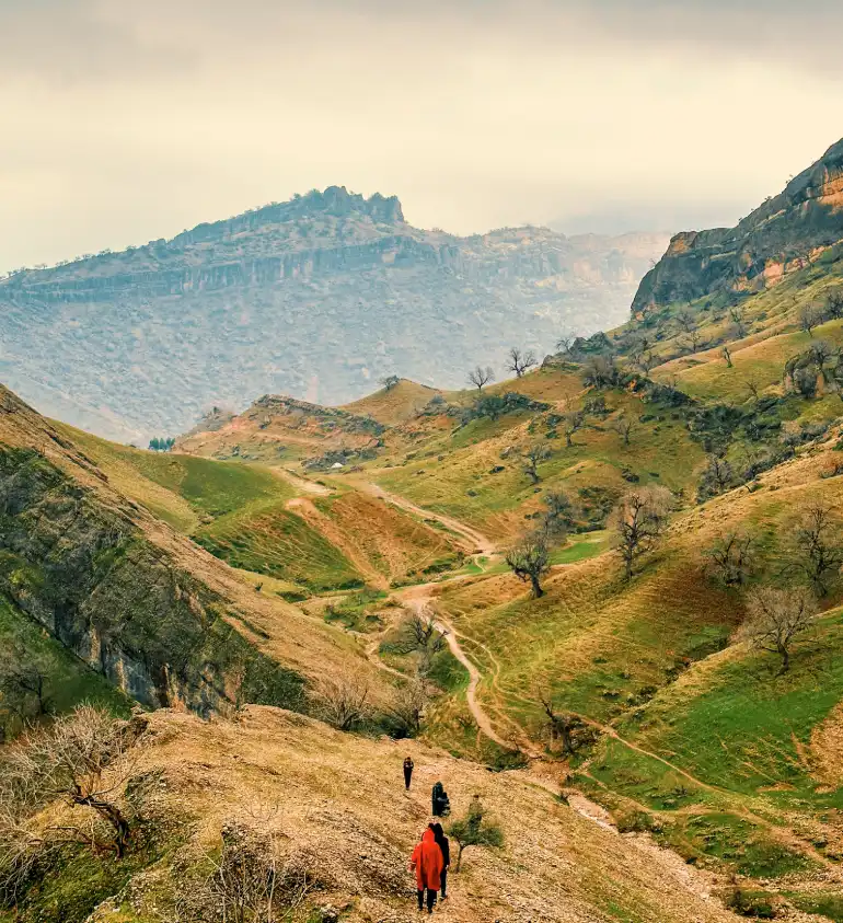 دژ محمد علی خان