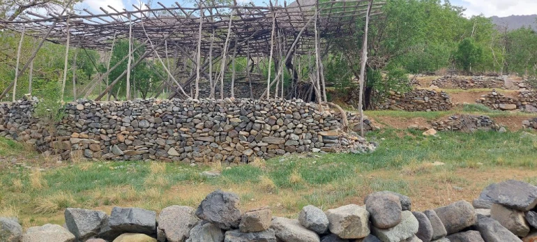 روستای طامه نطنز؛ گردشگری در زادگاه تحفه نطنز 6 روستای طامه