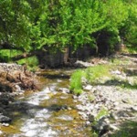 روستای طامه نطنز؛ گردشگری در زادگاه تحفه نطنز