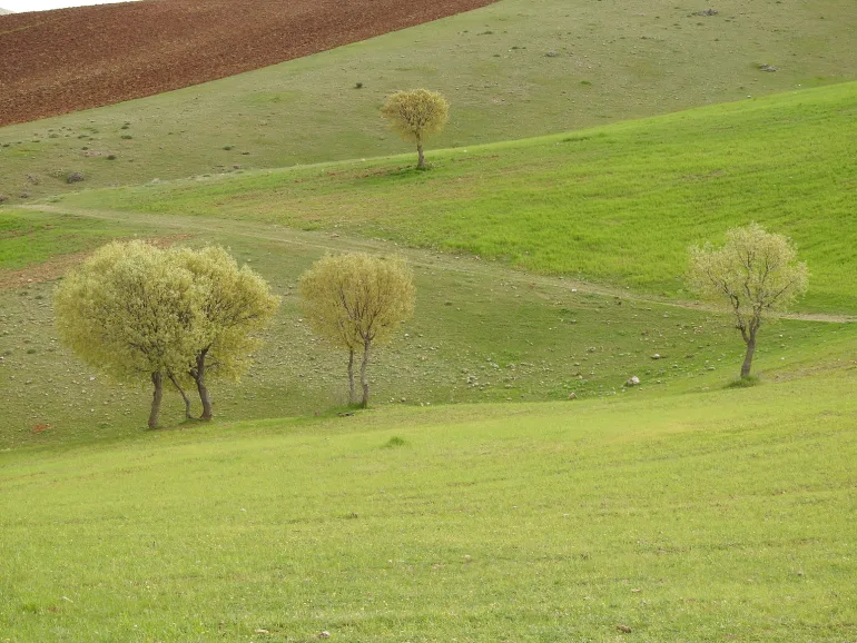 آبشار دره گرم