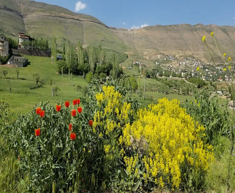 عکاسی در دشت مشا دماوند