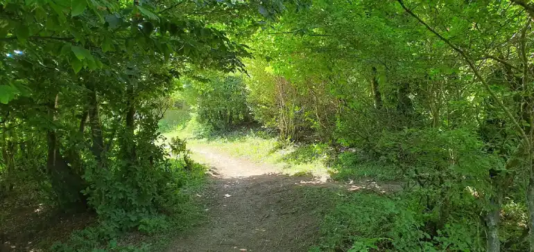 بهترین زمان سفر به دشت سوسن چلچراغ