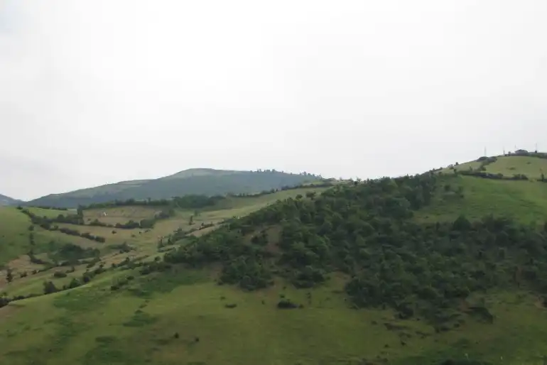  دشت سوسن چلچراغ