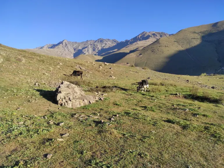 روستای الیت چالوس