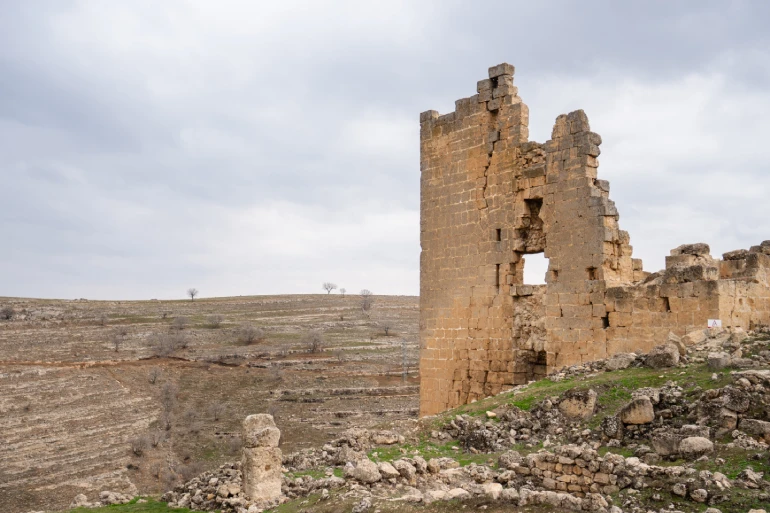 قلعه وان در شهر وان