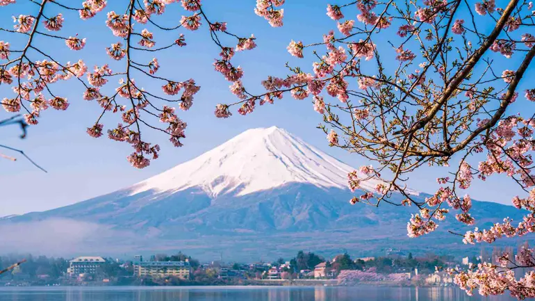 جاهای دیدنی ژاپن که هوش از سرتان میبرد 19 دیدنی های طبیعت ژاپن