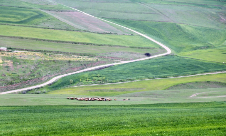 تاریخچه دشت مغان