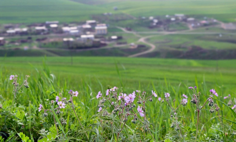 دشت مغان اردبیل