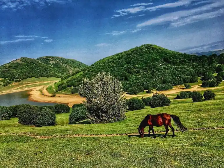 روستای سوها