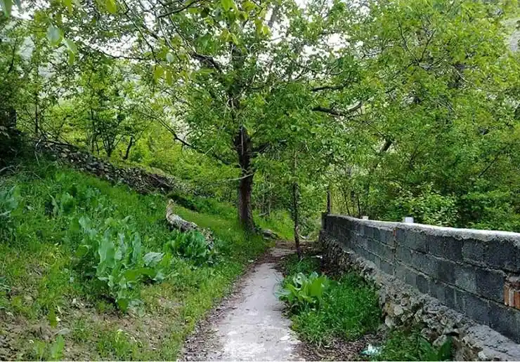 روستای وردیج و واریش