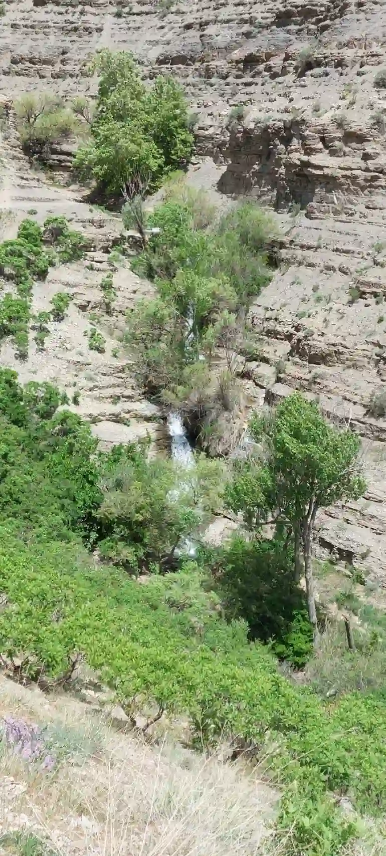 آبشار آدران