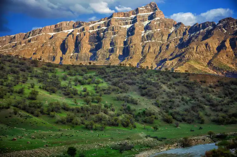 جنگل بلوط لرستان