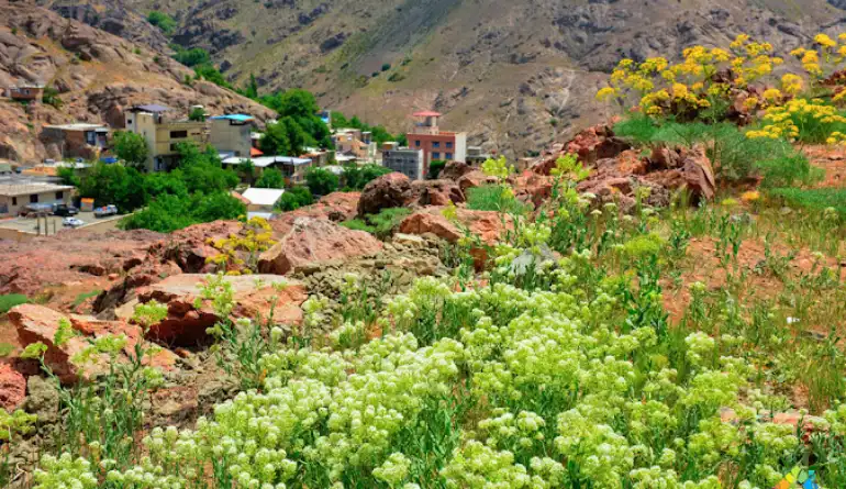 روستای وردیج و واریش