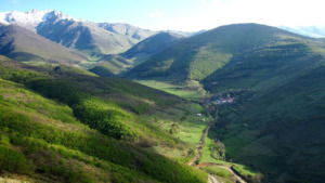 روستای نگل