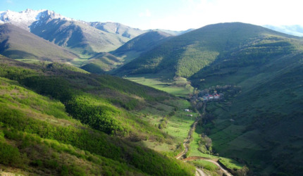 روستای نگل