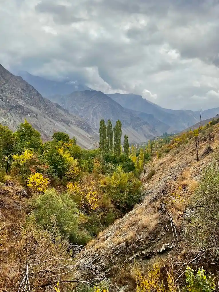 جاهای دیدنی نزدیک روستای واریان