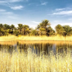 روستای گرمه اصفهان؛ کویری سبز و اعجاب‌انگیز