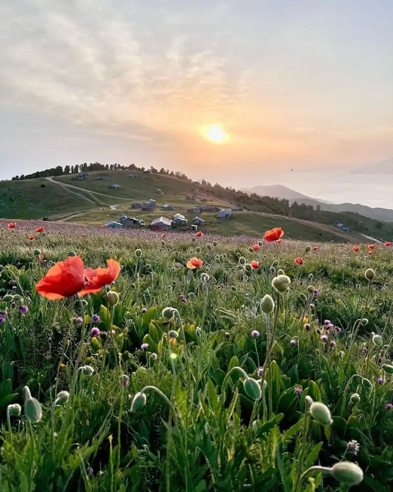 اجاره کلبه در ییلاق سلانسر