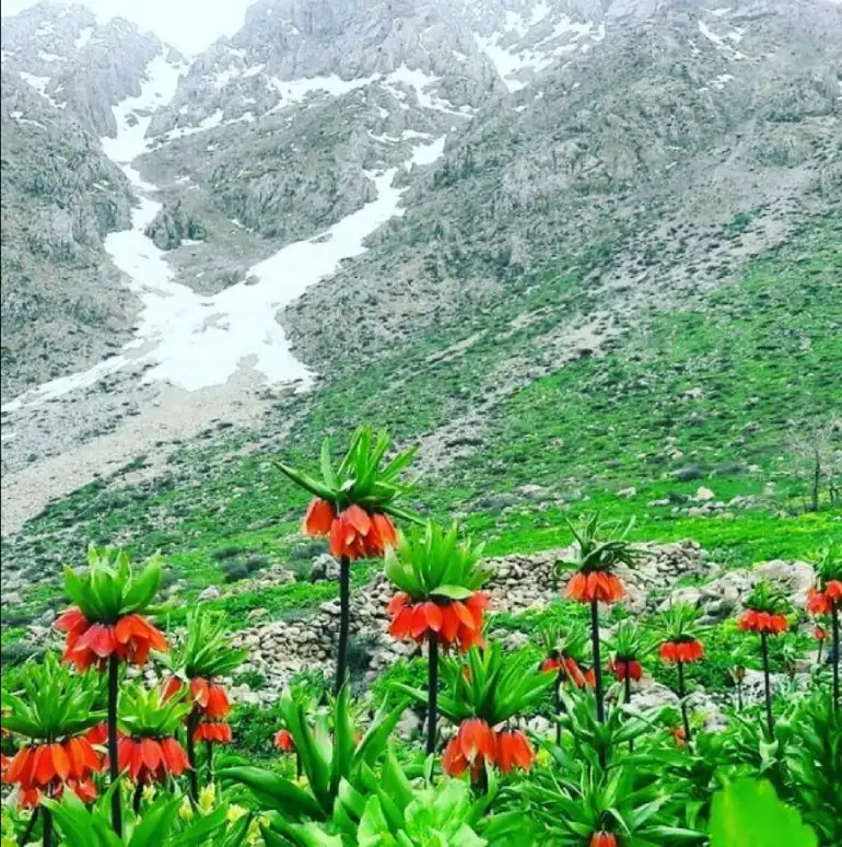 روستای سلین کردستان