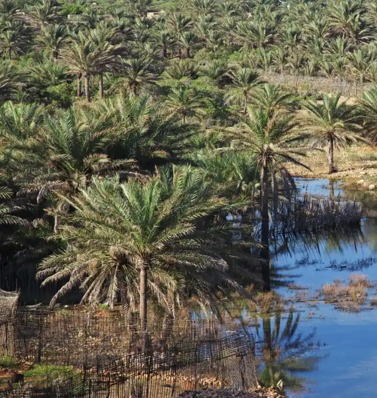 روستای گرمه کجاست؟