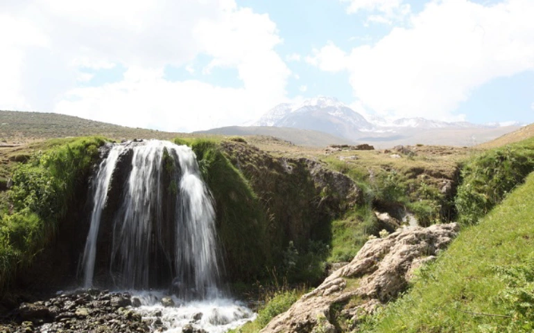 هوشنگ میدانی