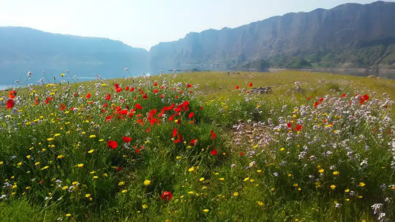 روستای پامنار در استان خوزستان