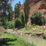 تنگه واشی تهران؛ مقصد ماجراجویانه در تابستان 4 روستای خمده؛ فرصتی برای کشف و تجربه