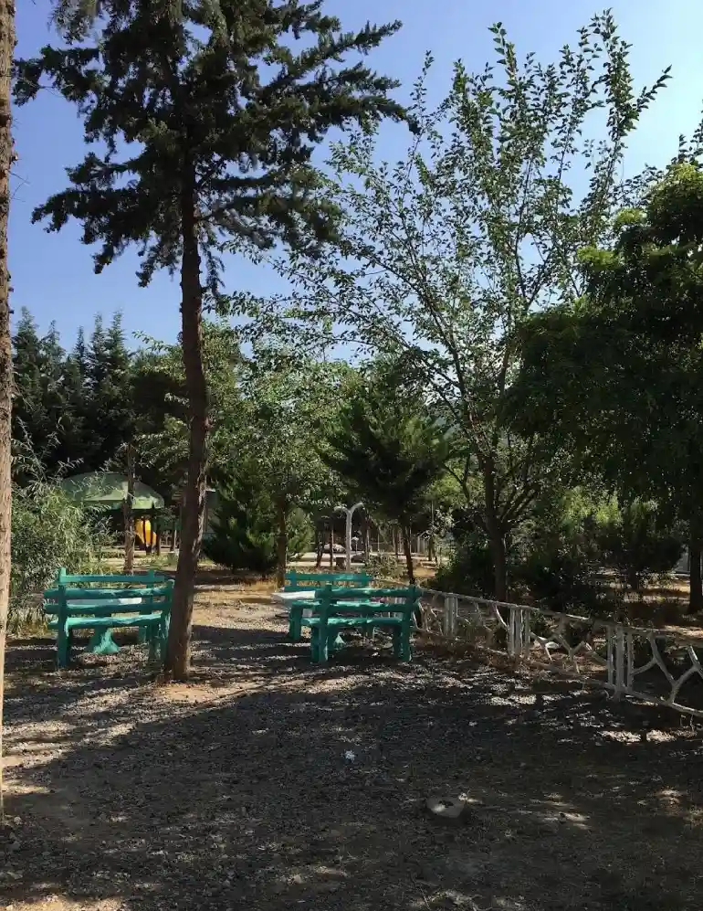 روستای فشکور مازندران؛ سفر به آلپ ایران 30 پارک جنگلی سعدآباد