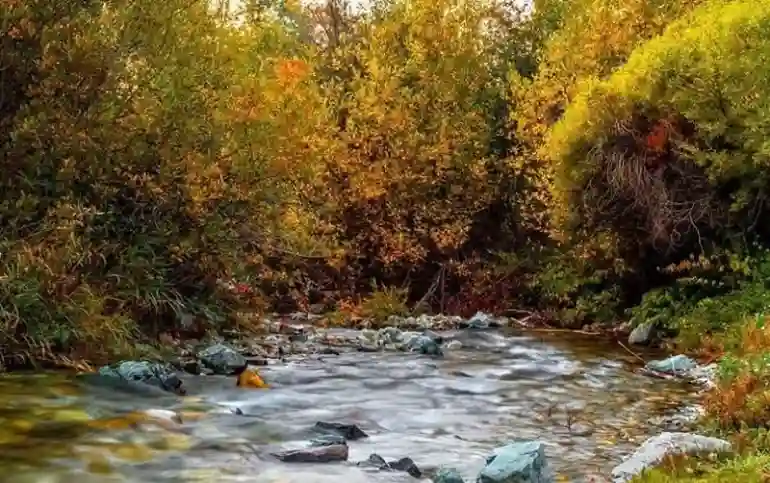 روستای ارنگه جاده چالوس