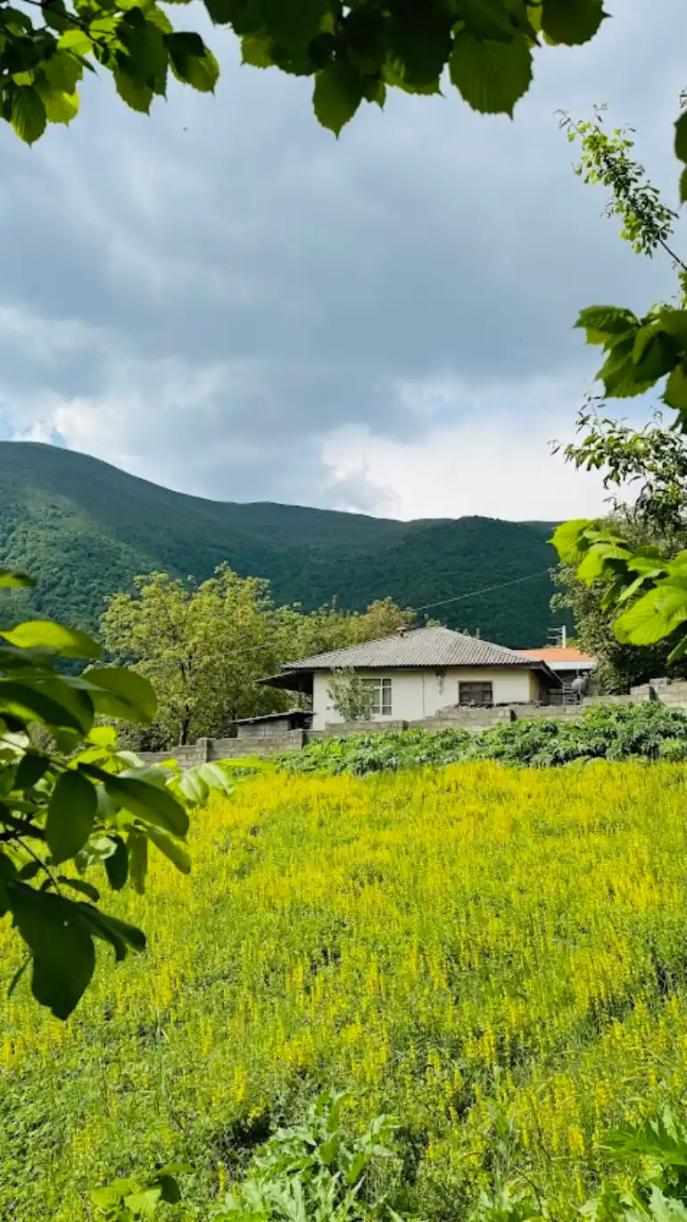 روستای فشکور 