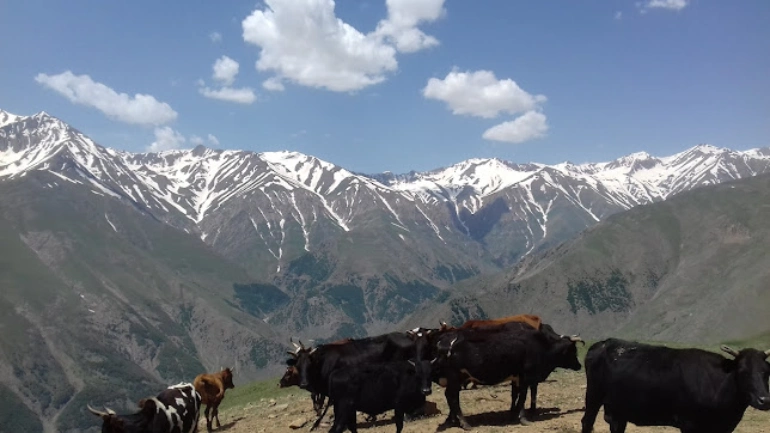 مسیر روستای دلیر